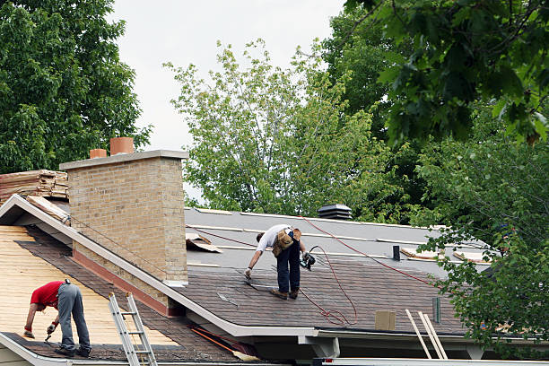 Roof Coating Services in Meadow Oaks, FL